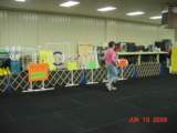 Photo Number 6