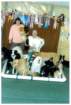 photo10_small.jpg