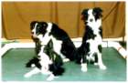 photo14_small.jpg
