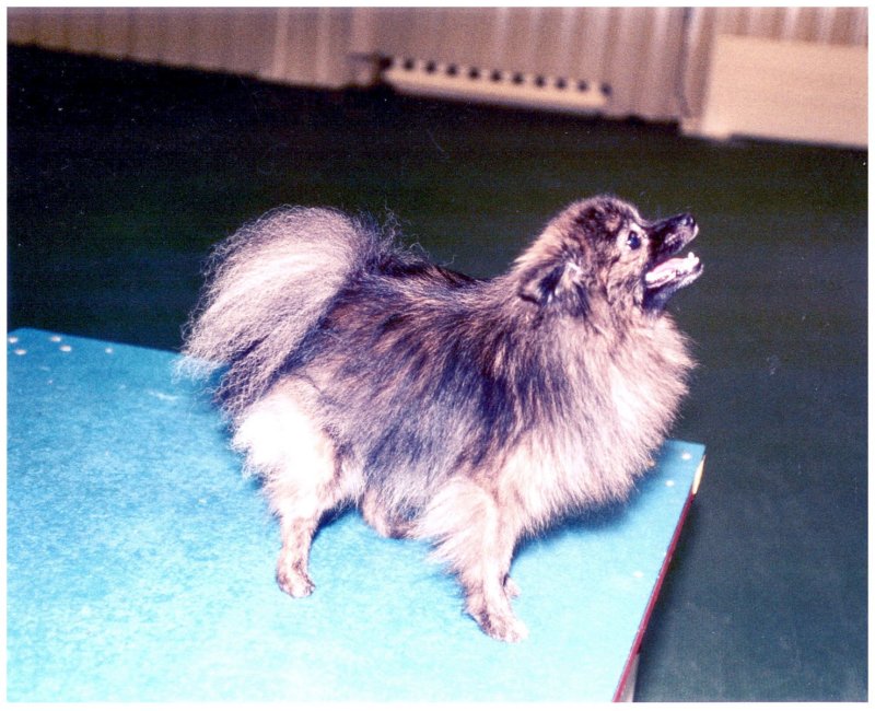 photo15.jpg