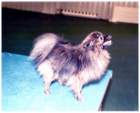 photo15_small.jpg