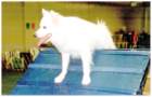 photo17_small.jpg