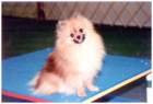 photo19_small.jpg
