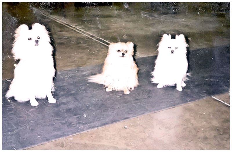 photo2.jpg