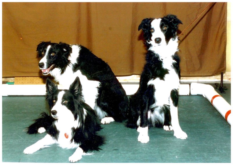 photo20.jpg