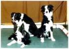 photo20_small.jpg