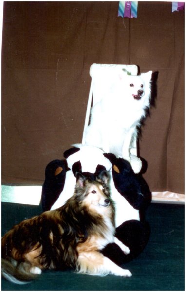photo22.jpg
