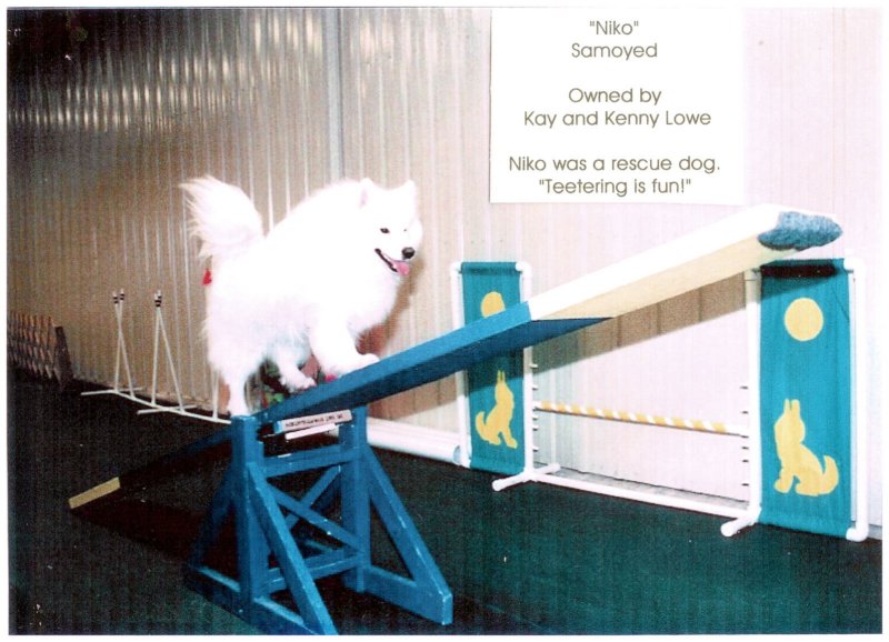 photo27.jpg