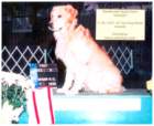 photo35_small.jpg