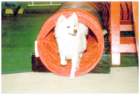 photo9_small.jpg