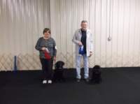 dscf0013_small.jpg