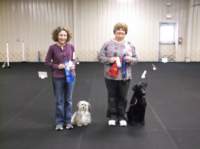 dscf0050_small.jpg